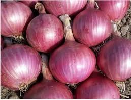 1kg Fresh Onion  ఉల్లిగడ్డ